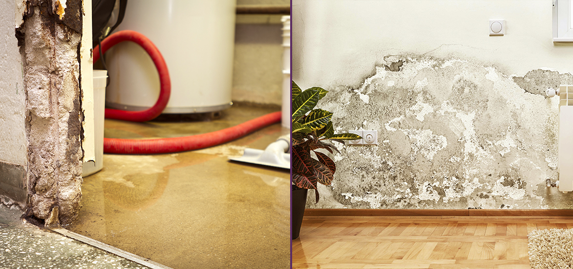 water damage restoration