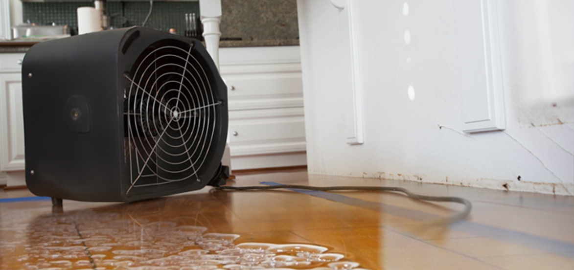 What Are The Main Causes Of Water Damage & How To Fix It?