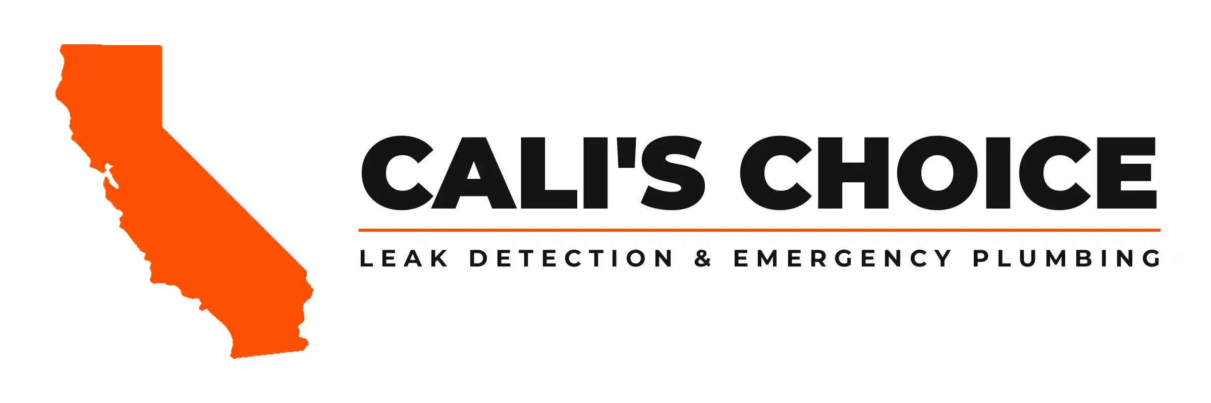 logo_main
